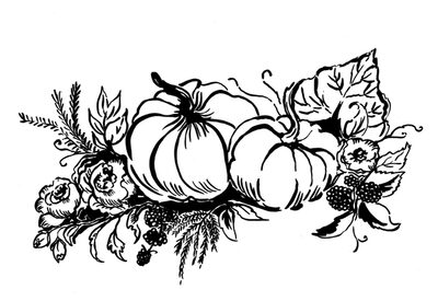 Image Not Available